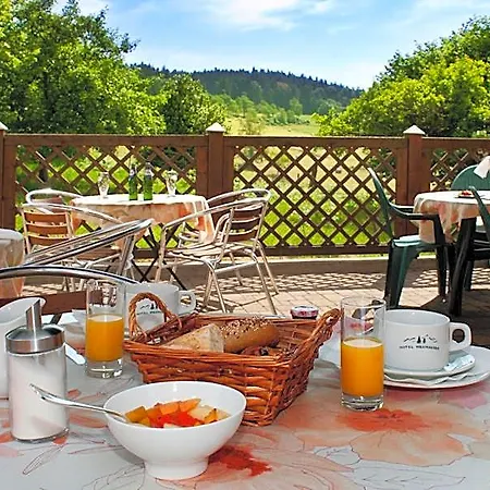 Hotel Logis Restaurant Neuhauser 3*