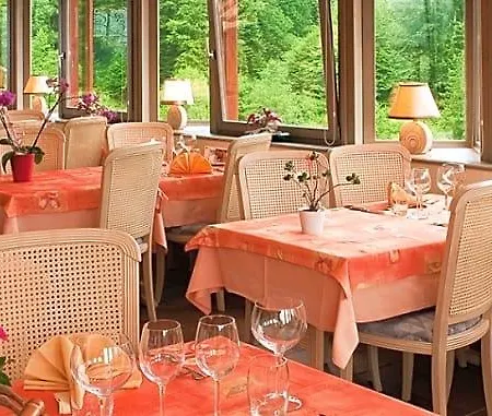Logis Restaurant Neuhauser 3* La Broque