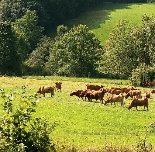 Logis Restaurant Neuhauser Отель La Broque